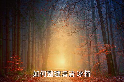 冰箱夏季收納怎么收納,冰箱收納盒好還是收納袋好...
